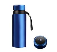 Botellas de agua inteligentes de 24 onzas con pantalla digital de temperatura, infusor de café, té, taza térmica LED, doble pared, aislada al vacío, termo de acero inoxidable, a prueba de fugas, taza