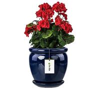 botle Macetero para flores, color azul oscuro, con plato, redondo, 220 mm de diámetro x 240 mm de alto, superficie brillante, cerámica, moderna, glamour