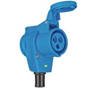 Brennenstuhl 1080980 Acoplamiento Ángulo Azul