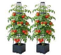 BRGD 2 Pack Soporte para Plantas con Macetero, Enrejado de Obelisco de Jardín para el Cultivo de Tomates, Pepinos, Judías Verdes, Rosas y Petunias