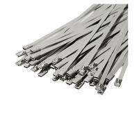 Brida for cables de acero inoxidable, herramienta tensora manual con cremallera automática de 12mm, alicates de sujeción y corte, 100 Uds.(4.6x250mm)