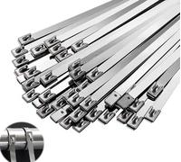 Bridas Metálicas De Acero Inoxidable 304 De 100 Piezas, Ancho 4,6-19 mm, Longitud 100-1500 mm, Resistentes, for Agrupar, Jardinería Y Exteriores.(7.9x1000mm)