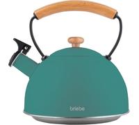 Briebe nordic tetera con silbato, hervidor de agua 2,3l, inducción, acero inox, vintage, mango madera, , verde