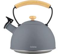 Briebe nordic tetera con silbato, hervidor de agua 2,3l, inducción, acero inox, vintage, mango madera, , gris