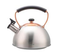 briebe Tetera Inducción Silbante 2,3L, Infusiones, Hervidor de Agua Acero Inoxidable, Retro, Todo Tipo de Cocinas, Vitrocerámica, Gas, Mango Tacto Frío, Diseño Vintage, Tea Pot, Inox/Bronce