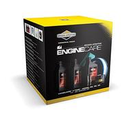 Briggs & Stratton 992240 Vanguard V-Twin/Modelo 29/30/35/14 - kit de mantenimiento del motor de potencia bruta 20