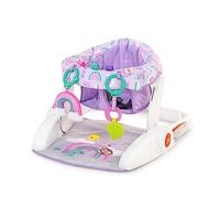 Bright Starts Asiento de aprendizaje con 2 posiciones para bebés con juguetes, unisex, 4-12 meses, color morado paraíso