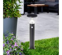 Brilliant Terminal de exterior Tulip LED solar con detector de movimiento Negro