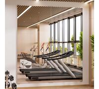 brisafe 2 espejos de cuerpo completo de 180 x 80 cm, espejo de pared grande, para fitness, resistente a la rotura, espejo de baile de gran tamaño, ultraligero, para gimnasio, casa, yoga