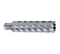 Broca hueca hss con vástago weldon (3/4 ) rectificada cbn profundidad de corte 110,0 mm (ø 42,0 mm)
