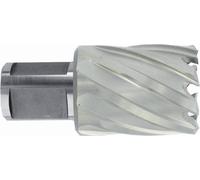 Broca para metal Tivoly, para taladrar, con diámetro de 14 x 60 x 30 mm, fabricada en acero rápido (HSS), con sistema de sujeción de 19 mm (Weldon)