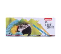 Bruynzeel - Juego de lápices de colores Parrot - 45 colores en lata para dibujar