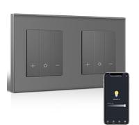 BSEEDLIFE Double Interruptor Regulador Inteligente WLAN con Marco de Cristal, Interruptor Regulable WiFi, Compatible con Alexa, Google Home, Interruptor de luz Empotrable, Gris(Se necesita Neutro)