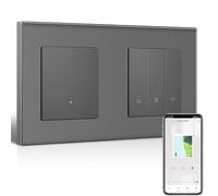 BSEEDLIFE Interruptor Persiana 1 Gang 1 Vía con WiFi Interruptor Tactil Empotrado, Panel de Cristal, Compatible con Alexa y Google Home, Requiere Cable Neutro, Gris
