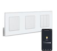 BSEEDLIFE Smart - Interruptor de luz WiFi con regulador de intensidad WiFi, 1 interruptor de pared, 2 interruptores regulables, compatible con Alexa/Google Home, interruptor de luz empotrado regulable