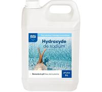 Bsi pH Plus Líquido 5L Dosificación Automática Ajuste pH Piscinas BSI5420046652523