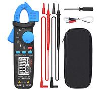 BSIDE ACM91 Pinza Amperimétrica AC DC 1mA Mini Pinza Fugas de Corriente TRMS 6000 Cuentas Multímetro Digital de Temperatura Ohm Capacidad Continuidad NCV LOZ Miliamperímetro para Coche Electricista