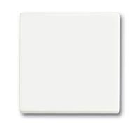 Busch-jaeger 1751-0-3027 interruptor de luz plástico blanco