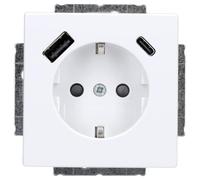 Busch-jaeger 20 eucb2usbac-84 schuko® usb-steckdose, a/c future® lin