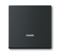 BUSCH JAEGER 2CKA006599A2968 - Plástico - IP20 - - 6524 U - 6526 U - 6550 U-10x - 6560 U-101 - 6593 U - 6401 U-10x - 6402 U - 2300 W - 230 V