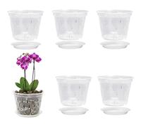 CA 5 macetas transarentes para Orquídeas with Dientes-Kit de Transplante de Orquídeas, tamaño (4,3X3, 5x2)