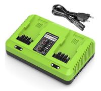 Cabeattee - Cargador de 40 V doble puerto para Greenworks - Cargador G40 C de repuesto para Greenworks (40 V, 29462, 29472, 29252, 20202, 22262)