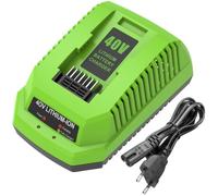 Cabeattee G40C Cargador para Greenworks 40V Batería | G40B2 G40B4