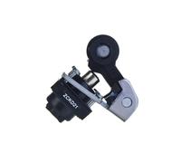 Schneider Electric Cabezal de accionamiento Osiswitch ZCKD21 palanca angular con rodillo