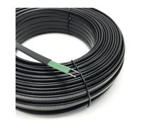 Cable calefactor autorregulable de baja temperatura PE | Iones congelados de tubería de agua de drenaje de derretimiento de nieve de 100 m