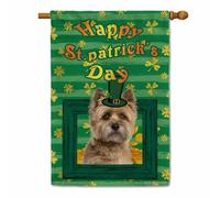 Cairn Terrier - Bandera de casa con diseño de perro feliz día de San Patricio, trébol, trébol, monedas doradas, rayas verdes, decoración de primavera para patio, exterior, doble cara, 28 x 40 pulgadas