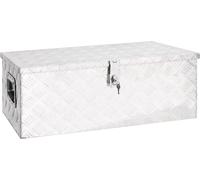 Caja de almacenamiento The Living Store, color plateado, 80x39x30 cm, de aluminio