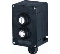 Caja de pulsadores Ceag completa - GHG4118200R0001
