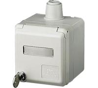 Caja mural Cepex 16A, 5p, 6h, 400V, IP44 - Enchufe arquitectónico CEE 16A-enchufe 6h 4165