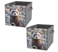 Cajas de almacenamiento plegables para ropa y libros