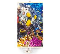 Calefacción infrarroja, termostato, calefactor con imagen, panel calefactor, radiador infrarrojo de 430W, calefacción eléctrica con diseño de arrecife de coral