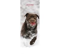 Calendario 2024 Labrador Chocolate Slim