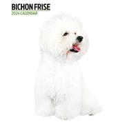 Calendario 2024 moderno de Bichon Frise
