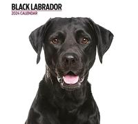 Calendario 2024 moderno negro Labrador