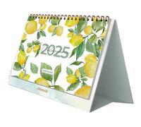 Calendario 2025 Sobremesa - Mensual Enero a Diciembre, Español e Inglés, Tamaño 21,5 x 15,5 cm, Con plannings mensuales y anual, Cierre Anillas Doble Wire’o - Takenote Agatha