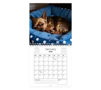 Calendario 2026 , Planificador y Organizador para la Planificación Mensual de 12 - Calendario De Pared 2026 Con 12 | Adecuado Para Habitación Da, Salón, Apartamento, Aula, Oficina, Vacaciones