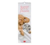 calendario 2027 pared 16x49 best friends legami