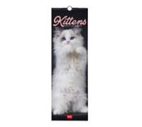 calendario 2027 pared 16x49 kittens legami