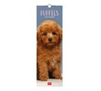 calendario 2027 pared 16x49 puppies legami