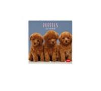 calendario 2027 pared 18x18 puppies legami