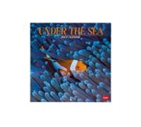 calendario 2027 pared 30x30 under the sea legami