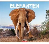Calendario de elefantes 2025: Los gentiles gigantes de África, retratados en un gran calendario de pared. Calendario fotográfico de alta calidad totalmente impresionante... x 46 cm horizontal