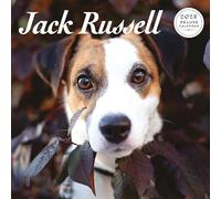 Calendario de lujo 2025 de Jack Russell