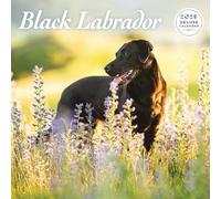 Calendario de lujo 2025 Labrador Black
