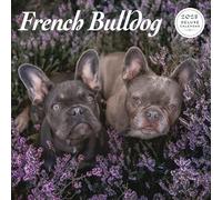 Calendario de lujo de Bulldog Francés 2025