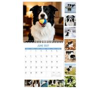 Calendario de pared 2027 - Papel mensual de perro Border Collie rústico